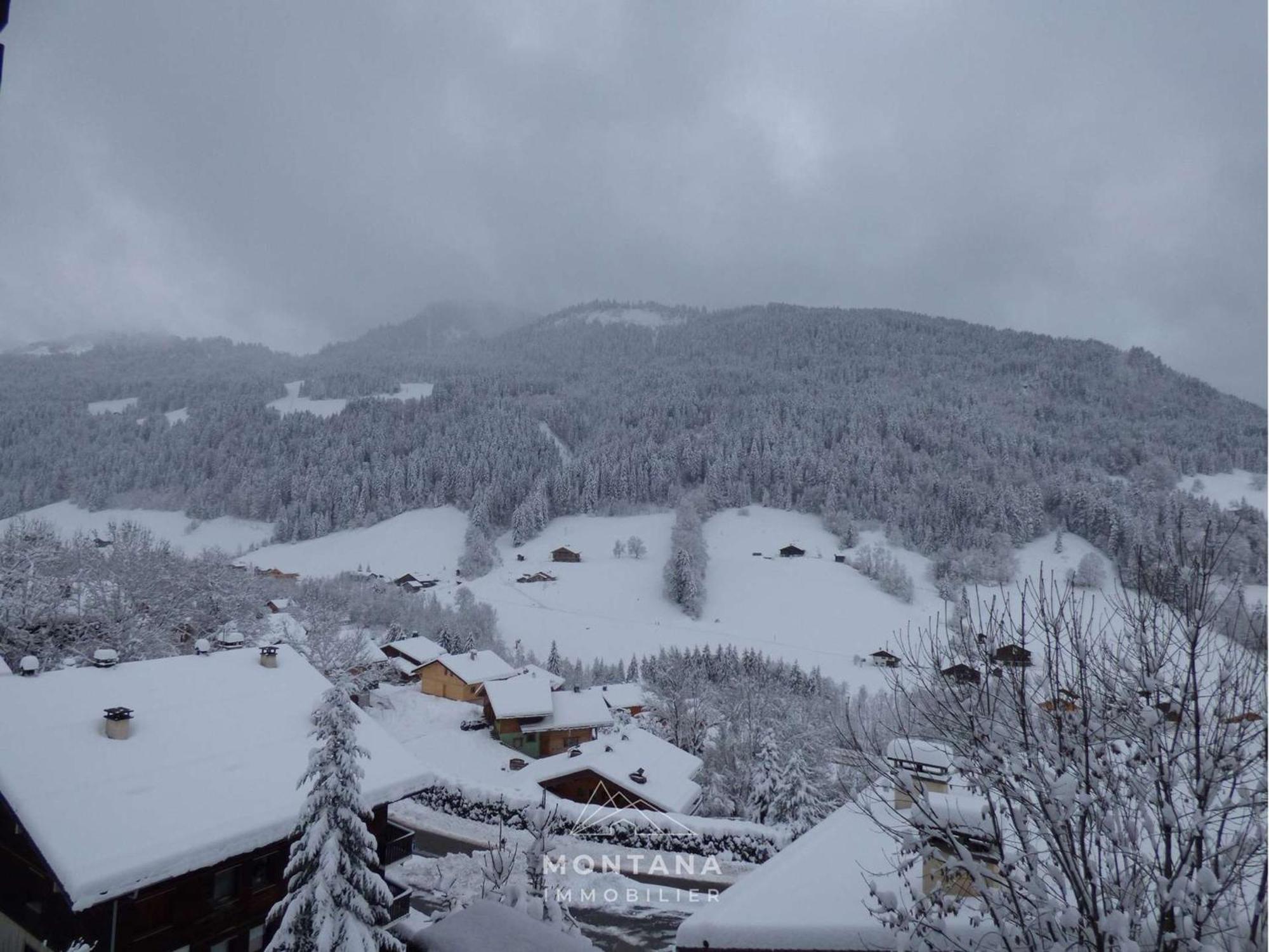 Studio Le Grand-Bornand, 2 pièces, 5 personnes - FR-1-458-125 Esterno foto